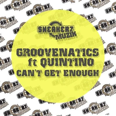 Quintino/Groovenatics Can't Get Enough