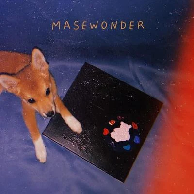 MaseWonder 7ainbow