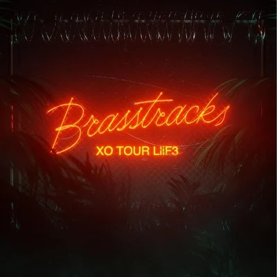 Brasstracks XO Tour Llif3