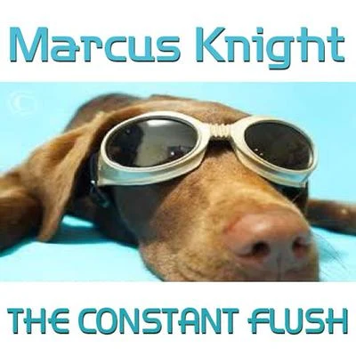 Marcus Knight The Constant Flush