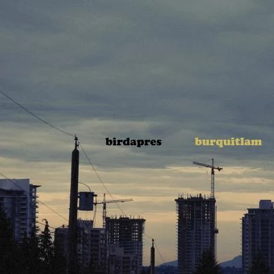 Birdapres Burquitlam