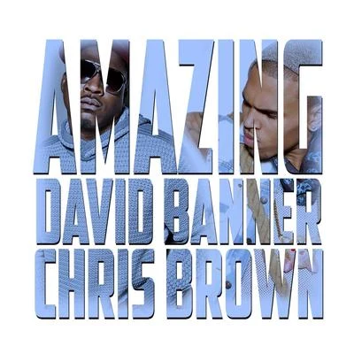 David Banner Amazing (feat. Chris Brown)