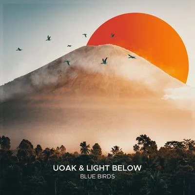 UOAK/Light Below Blue Birds