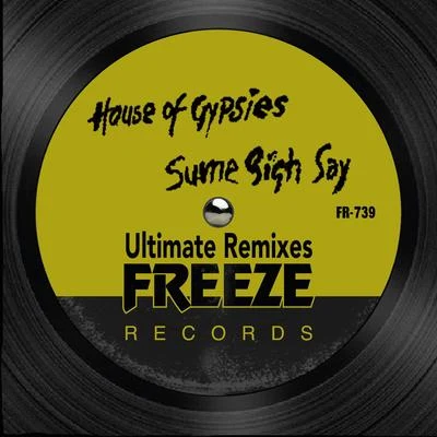 House of Gypsies/Todd Terry Sume Sigh Say (Ultimate Remixes)