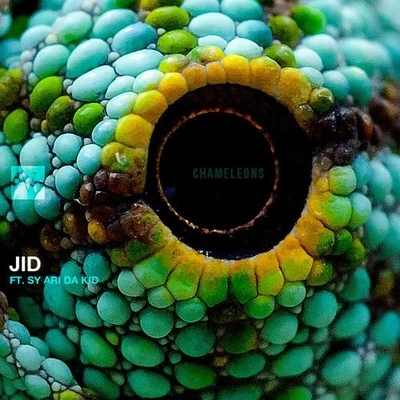 JID Chameleons