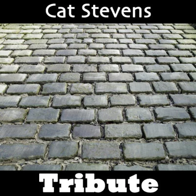 Mystique Wild World: Tribute To Cat Stevens