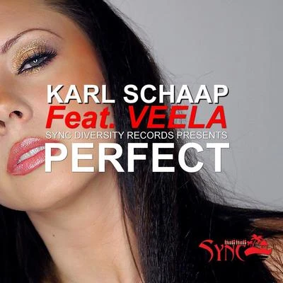 Veela/Karl Schaap Perfect (feat. Veela)