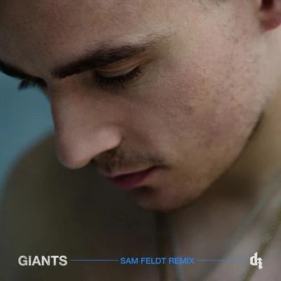 Sam Feldt/Dermot Kennedy Giants (Sam Feldt Remix)