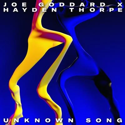 Joe Goddard/Hayden Thorpe Unknown Song (Extended Version)