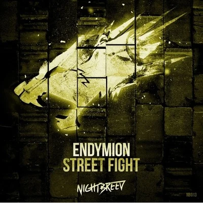 Endymion Street Fight