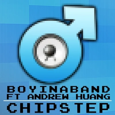 Boyinaband Chipstep