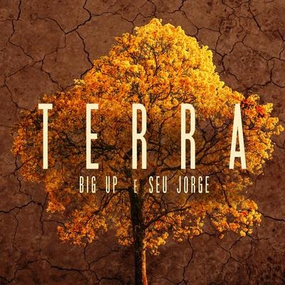 Big Up/Seu Jorge Terra