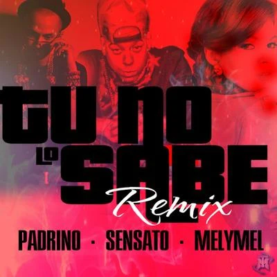 Sensato Tu No Lo Sabe (feat. Padrino Lzf & MelyMel)