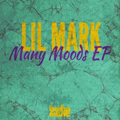 Lil&#x27; Mark Many Moods EP Vol 2