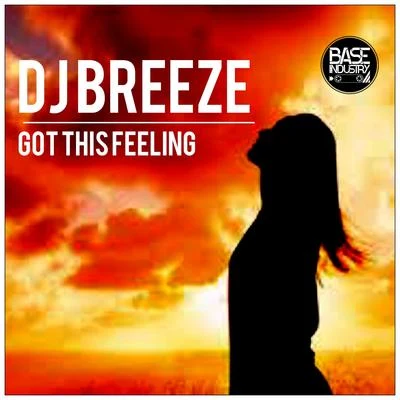 DJ Breeze Got This Feeling