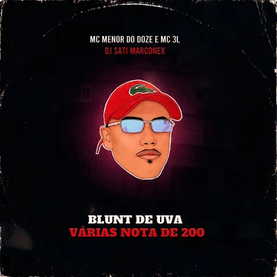 DJ SATI MARCONEX/MC 3L/Mc Menor do Doze Blunt de Uva - Várias Nota de 200