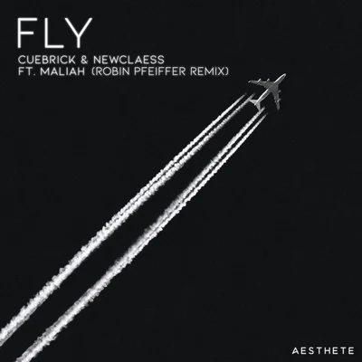 Newclaess/Cuebrick/Robin Pfeiffer Fly (Robin Pfeiffer Remix)