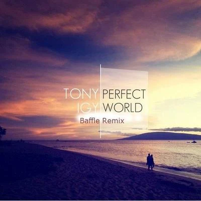 Tony Igy Perfect World (Baffle Remix)