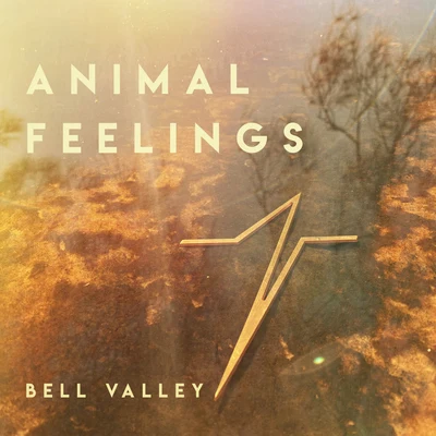 Animal Feelings Bell Valley