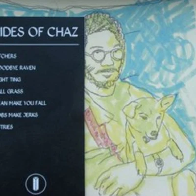 Toro y Moi Sides of Chaz