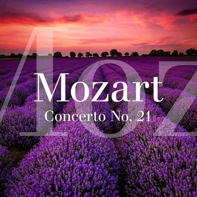 Connaître ses classiques/165 Oeuvres Incontournables De Musique Classique/Salzburg Mozarteum Orchestra &amp; Chorus Mozart : Concerto No. 21