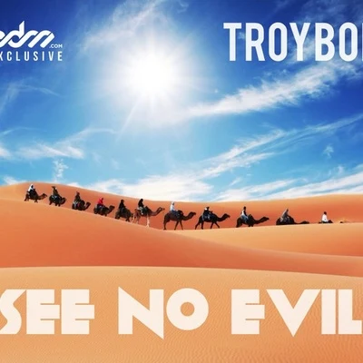 TroyBoi See No Evil