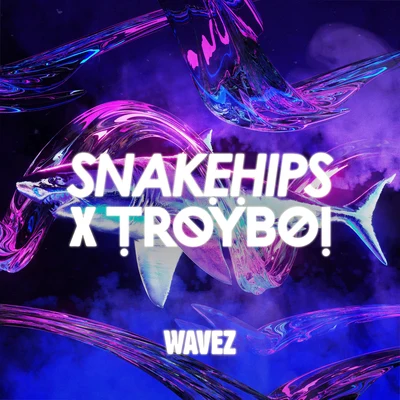 TroyBoi/Snakehips Wavez