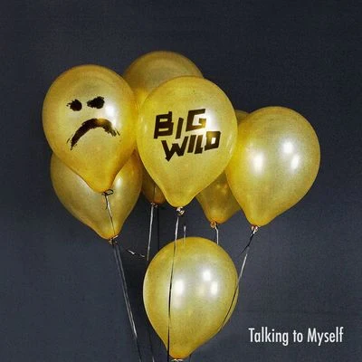 Big Wild Talking to Myself (Big Wild Remix)