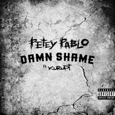 Petey Pablo Damn Shame