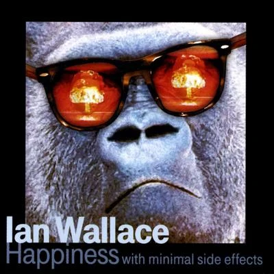 Ian Wallace Happiness With Minimal Side Effects