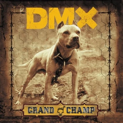 DMX Grand Champ