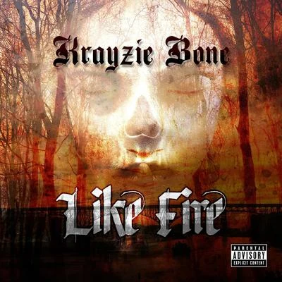 Krayzie Bone Like Fire - Single