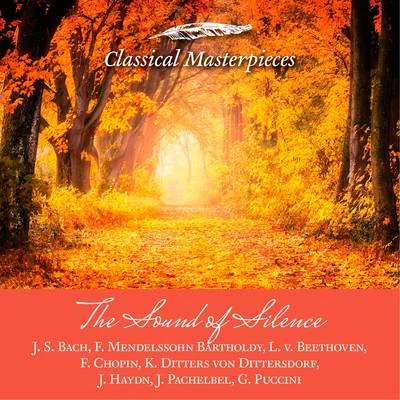 Kammerorchester Arcata Stuttgart/Heidelberger Sinfoniker The Sound of Silence -J. S. Bach,F. Mendelssohn Barholdy, L. v. Beethoven, f. Chopin, K. Ditters von Dittersdorf,J. Haydn, J. Pachelbel,G. Puccini (Cl