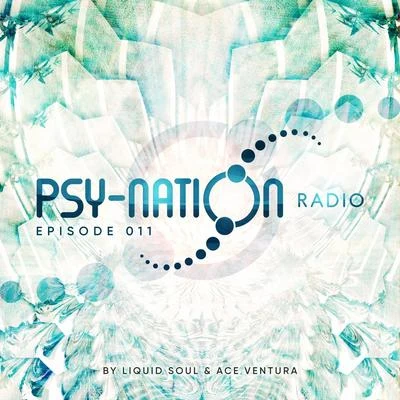 Ace Ventura/Liquid Soul Psy-Nation Radio - Episode 011 (Compiled by Liquid Soul & Ace Ventura)