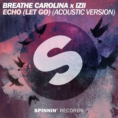 Breathe Carolina/IZII ECHO (LET GO) [Acoustic Remix]