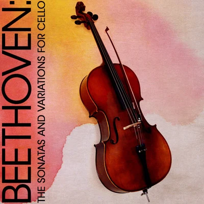 Jörg Metzger Beethoven: The Sonatas and Variations for Cello