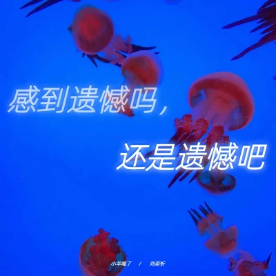 刘奕忻/Yancy 感到遗憾吗 还是遗憾吧