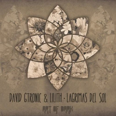 David Gtronic Lagrimas Del Sol