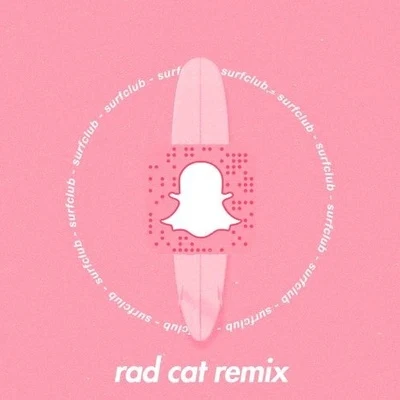 Rad Cat snapchat (Rad Cat Remix)