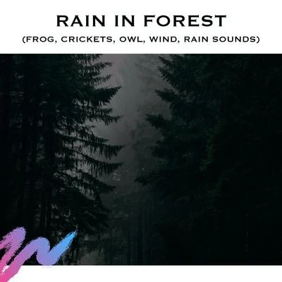 Sleep Sounds Ambient Noises/White Noise Radiance/Rain Sounds &amp; White Noise Rain in Forest (Frog, Crickets, Owl, Wind, Rain Sounds)