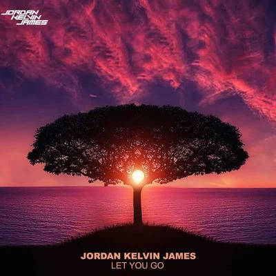 Jordan Kelvin James Let You Go