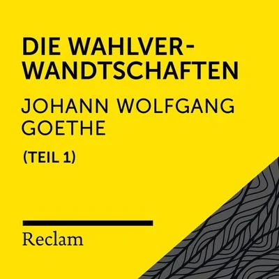 Johann Wolfgang von Goethe/Reclam Hörbücher/Heiko Ruprecht Goethe: Wilhelm Meisters Lehrjahre, I. Teil (Reclam Hörbuch)