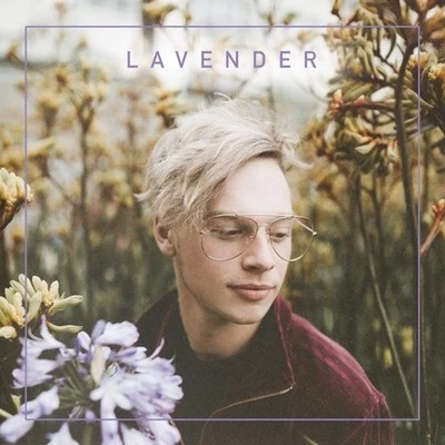 Madnap Lavender