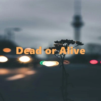 Chill Hip-Hop Beats/Yutsom/Chillhop Music Dead or Alive (Instrumental Rap & Lofi)