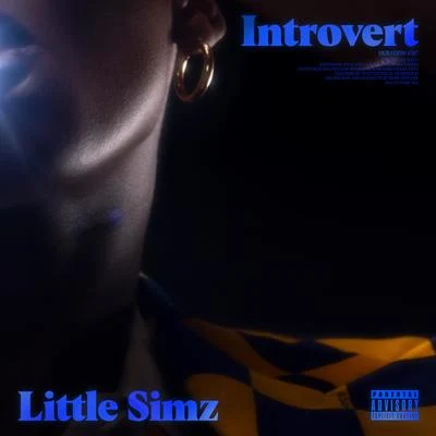 Little Simz Introvert