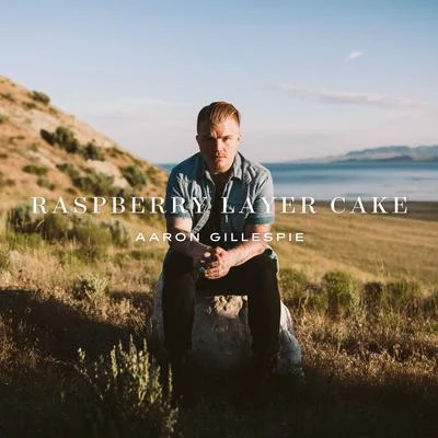 Aaron Gillespie Raspberry Layer Cake