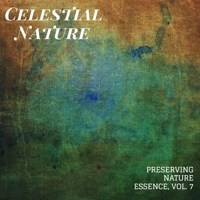 Nature Sounds/Rain Sounds For Sleep/White Noise Meditation Celestial Nature - Preserving Nature Essence, Vol. 7