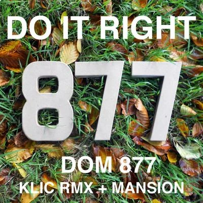 Dom 877 Do It Right – Single