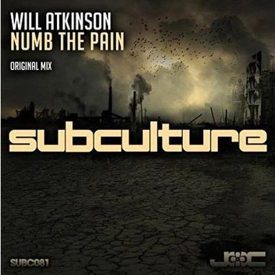 Will Atkinson Numb The Pain