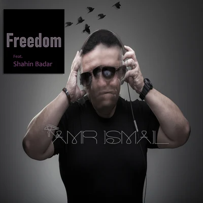 Shahin Badar/Amr Ismail Freedom